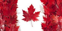 Canada Webinar 9 dicembre 