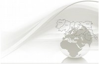 Temporary Export Manager, rotta verso l’estero