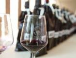  "Matilde di Canossa": selezionati i vini