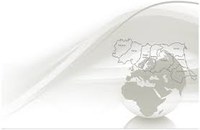 TEM - Temporary Export Manager 