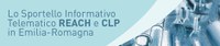 Reach e CLP: aspetti applicativi e adempimenti per le PMI 