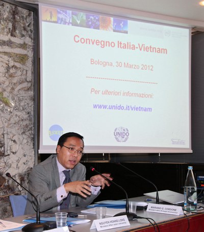 Nguyen Hoang Long, Ministero Affari Esteri Vietnamita