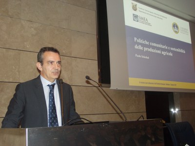 Paolo Sckokai, Università Cattolica del Sacro Cuore 