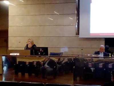 Cristina Brasili, Università di Bologna