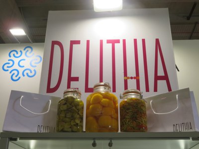 DELITHIA SRL