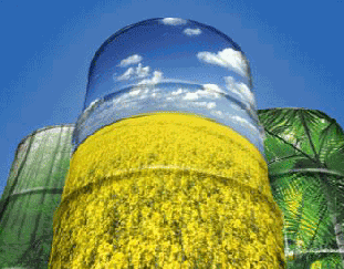 Biodiesel