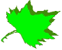 Foglia