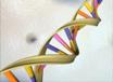 innovazionebiotech