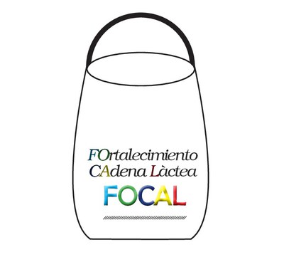 Logo FOCAL