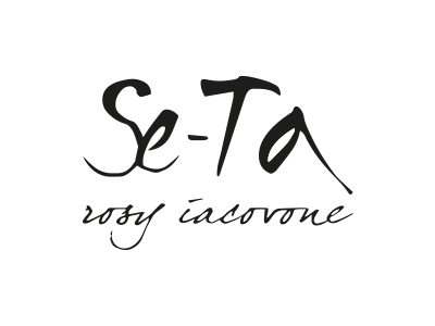se-ta-logo.png