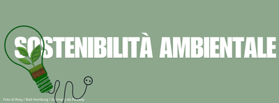 sostenibilità ambientale.png