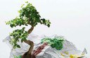 Albero reti impresa